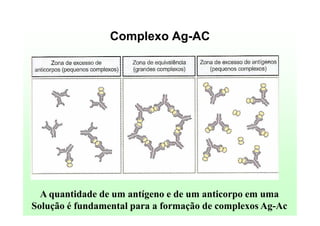Complexo Ag-AC

A quantidade de um antígeno e de um anticorpo em uma
Solução é fundamental para a formação de complexos Ag-Ac

 