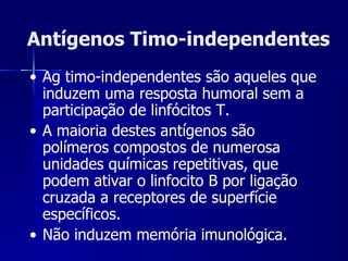 Antígenos Timo-independentes Ag timo-independentes são aqueles que induzem uma resposta humoral sem a participação de linfócitos T. A maioria destes antígenos são polímeros compostos de numerosa unidades químicas repetitivas, que podem ativar o linfocito B por ligação cruzada a receptores de superfície específicos. Não induzem memória imunológica.  