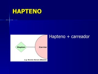 HAPTENO Hapteno + carreador 