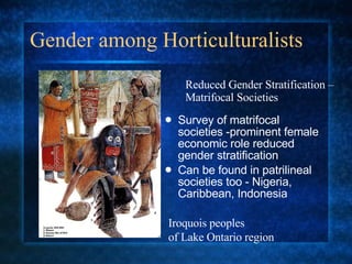 Gender among Horticulturalists Survey of matrifocal societies -prominent female economic role reduced gender stratification Can be found in patrilineal societies too - Nigeria, Caribbean, Indonesia Reduced Gender Stratification – Matrifocal Societies Iroquois peoples  of Lake Ontario region 