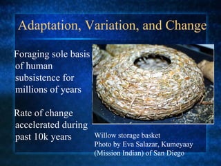 Adaptation, Variation, and Change Foraging sole basis of human subsistence for millions of years Rate of change accelerated during past 10k years Willow storage basket  Photo by Eva Salazar, Kumeyaay (Mission Indian) of San Diego  