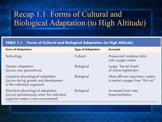 Recap 1.1  Forms of Cultural and Biological Adaptation (to High Altitude) 
