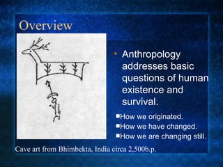 Overview How we originated. How we have changed. How we are changing still. Anthropology addresses basic questions of human existence and survival. Cave art from Bhimbekta, India circa 2,500b.p. 
