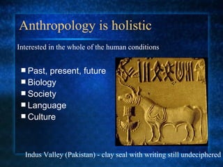 Anthropology is holistic Past, present, future Biology Society Language Culture Interested in the whole of the human conditions Indus Valley (Pakistan) - clay seal with writing still undeciphered 