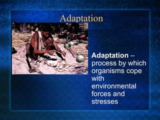 Adaptation Adaptation  – process by which organisms cope with environmental forces and stresses 