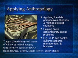 Applying Anthropology Applying the data, perspectives, theories, & methods to real situations Helping solve contemporary social problems E.g., in Public health, cultural resource management, & business Tongva (Gabrielino) seed beater of willow & redbud boughs;  used to collect seeds for  pi ñole  (sage, tarweed,  acorns, Madia flowers, cherry stones  