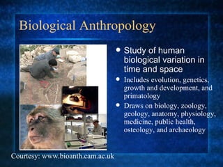 Biological Anthropology  Study of human biological variation in time and space  Includes evolution, genetics, growth and development, and primatology Draws on biology, zoology, geology, anatomy, physiology, medicine, public health, osteology, and archaeology Courtesy: www.bioanth.cam.ac.uk 