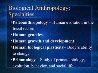 Biological Anthropology: Specialties  Paleoanthropology  – Human evolution in the fossil record Human genetics Human growth and development   Human biological   plasticity – Body’s ability to change Primatology  – Study of primate biology, evolution, behavior, and social life 