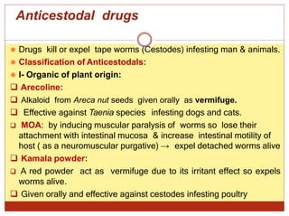 Anticestodal drugs
⚫ Drugs kill or expel tape worms (Cestodes) infesting man & animals.
⚫ Classification of Anticestodals:
⚫ I- Organic of plant origin:
 Arecoline:
 Alkaloid from Areca nut seeds given orally as vermifuge.
 Effective against Taenia species infesting dogs and cats.
 MOA: by inducing muscular paralysis of worms so lose their
attachment with intestinal mucosa & increase intestinal motility of
host ( as a neuromuscular purgative) → expel detached worms alive
 Kamala powder:
 A red powder act as vermifuge due to its irritant effect so expels
worms alive.
 Given orally and effective against cestodes infesting poultry
 