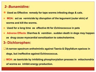2- Bunamidine:
⚫ Used as Effective remedy for tape worms infesting dogs & cats.
⚫ MOA: act as vermicide by disruption of the tegument (outer skin) of
worms and kill the worms.
⚫ Used for a long time as effective ttt for Echinococcus in pets
⚫ Adverse Effects: Diarrhea & vomition . sudden death in dogs may happen
as drug cause myocardial sensitization to catecholamine.
3- Dichlorophen:
A narrow spectrum anthelmintic against Taenia & Dipylidium speices in
dogs, but ineffective against Echinococcus.
 MOA: as taenicide by inhibiting phosphorylation process in mitochondria
of worms so inhibit energy production.
 