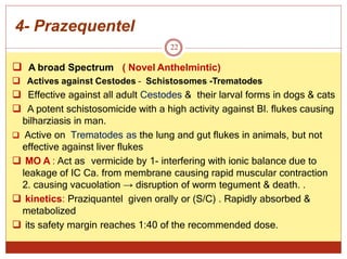 4- Prazequentel
22
 A broad Spectrum ( Novel Anthelmintic)
 Actives against Cestodes – Schistosomes -Trematodes
 Effective against all adult Cestodes & their larval forms in dogs & cats
 A potent schistosomicide with a high activity against Bl. flukes causing
bilharziasis in man.
 Active on Trematodes as the lung and gut flukes in animals, but not
effective against liver flukes
 MO A : Act as vermicide by 1- interfering with ionic balance due to
leakage of IC Ca. from membrane causing rapid muscular contraction
2. causing vacuolation → disruption of worm tegument & death. .
 kinetics: Praziquantel given orally or (S/C) . Rapidly absorbed &
metabolized
 its safety margin reaches 1:40 of the recommended dose.
 