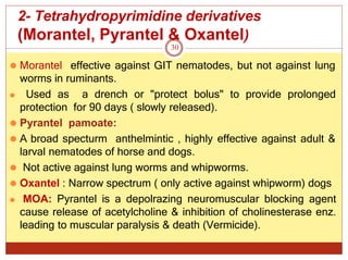 2- Tetrahydropyrimidine derivatives
(Morantel, Pyrantel & Oxantel)
30
⚫ Morantel effective against GIT nematodes, but not against lung
worms in ruminants.
⚫ Used as a drench or "protect bolus" to provide prolonged
protection for 90 days ( slowly released).
⚫ Pyrantel pamoate:
⚫ A broad specturm anthelmintic , highly effective against adult &
larval nematodes of horse and dogs.
⚫ Not active against lung worms and whipworms.
⚫ Oxantel : Narrow spectrum ( only active against whipworm) dogs
⚫ MOA: Pyrantel is a depolrazing neuromuscular blocking agent
cause release of acetylcholine & inhibition of cholinesterase enz.
leading to muscular paralysis & death (Vermicide).
 