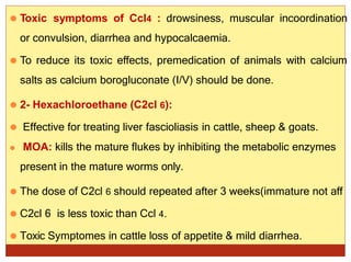 ⚫ Toxic symptoms of Ccl4 : drowsiness, muscular incoordination
or convulsion, diarrhea and hypocalcaemia.
⚫ To reduce its toxic effects, premedication of animals with calcium
salts as calcium borogluconate (I/V) should be done.
⚫ 2- Hexachloroethane (C2cl 6):
⚫ Effective for treating liver fascioliasis in cattle, sheep & goats.
⚫ MOA: kills the mature flukes by inhibiting the metabolic enzymes
present in the mature worms only.
⚫ The dose of C2cl 6 should repeated after 3 weeks(immature not aff
⚫ C2cl 6 is less toxic than Ccl 4.
⚫ Toxic Symptomes in cattle loss of appetite & mild diarrhea.
 