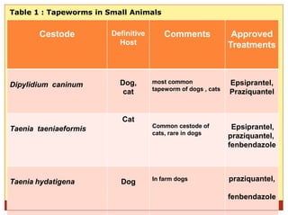 2/16/2015
Dr. Nehal Afifi 5
Table 1 : Tapeworms in Small Animals
Cestode Definitive
Host
Comments Approved
Treatments
Dipylidium caninum Dog,
cat
most common
tapeworm of dogs , cats
Epsiprantel,
Praziquantel
Taenia taeniaeformis
Cat
Common cestode of
cats, rare in dogs
Epsiprantel,
praziquantel,
fenbendazole
Taenia hydatigena Dog In farm dogs praziquantel,
fenbendazole
 