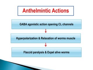 GABA agonistic action opening CL channels
Flaccid paralysis & Expel alive worms
Hyperpolarization & Relaxation of worms muscle
Anthelmintic Actions
 