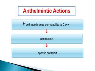 cell membranes permeability to Ca++
spastic paralysis
contraction
Anthelmintic Actions
 