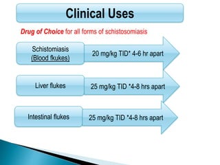 Schistomiasis
(Blood fkukes)
Liver flukes
20 mg/kg TID* 4-6 hr apart
Clinical Uses
Intestinal flukes
25 mg/kg TID *4-8 hrs apart
25 mg/kg TID *4-8 hrs apart
Drug of Choice for all forms of schistosomiasis
 