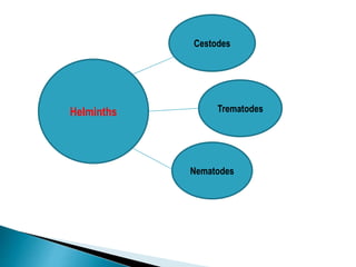 Helminths
Cestodes
Trematodes
Nematodes
 