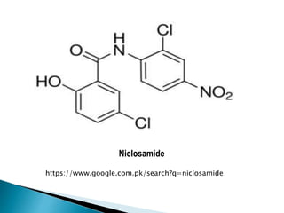 https://www.google.com.pk/search?q=niclosamide
Niclosamide
 