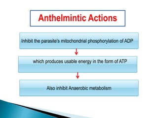 Inhibit the parasite's mitochondrial phosphorylation of ADP
Also inhibit Anaerobic metabolism
which produces usable energy in the form of ATP
Anthelmintic Actions
 