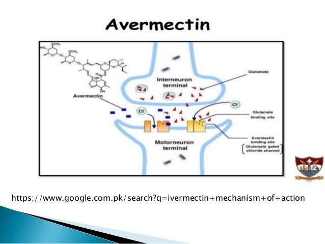 Ivermectin pills for sale