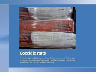 CoccidiostatsA chemical agent added to animal feed that serves to retard the life cycle or reduce the population of pathogenic coccidia to the point that disease is minimized and the host develops immunity .