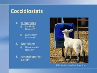 CoccidiostatsIonophoresLasalocidBovatec®Rumensin®MonensinQuinoloneDecoquinateDeccox®Amprolium (Rx)Corid®Affect mitochondrial  function