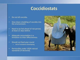CoccidiostatsDo not kill coccidia.Slow down shedding of coccidia into the environment.Need to be fed ahead of risk period, at least 21 days before.Adequate consumption is a limitation to their effectiveness.Should not feed year-round risk of resistance developingPermissible under USDA natural standards (if declared).