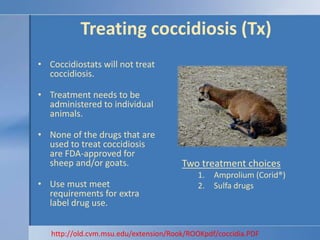 Treating coccidiosis (Tx)Coccidiostats will not treat coccidiosis.Treatment needs to be administered to individual animals.None of the drugs that are used to treat coccidiosis are FDA-approved for sheep and/or goats.Use must meet requirements for extra label drug use.Two treatment choicesAmprolium (Corid®)Sulfa drugshttp://old.cvm.msu.edu/extension/Rook/ROOKpdf/coccidia.PDF