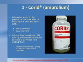 1 - Corid® (amprolium)Labeled as an aid  in the prevention and treatment of coccidiosis in beef and dairy cattle.21 day prevention