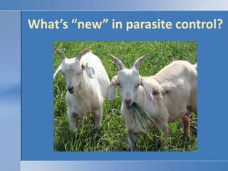 2 - SulfonamidesSsulfadimethoxine (Di-methox®, Albon®), Sulfamethazine (Sulmet®)Used to treat many infections.Common treatment for coccidiosis.Cause folic acid deficiency More effective than Corid® (?)http://old.cvm.msu.edu/extension/Rook/ROOKpdf/coccidia.PDF