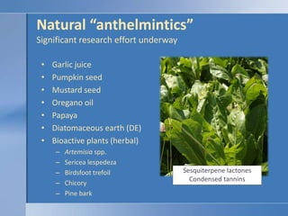 Feed supplementDrenchCopper sulfateBolusCopper oxide wire particles (COWP) CuSO4