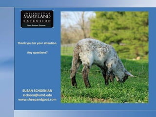 Natural “anthelmintics”Natural “anthelmintics” are not likely to replace the therapeutic use of anthelmintics.However, they may reduce the need for anthelmintic treatments disrupting the parasite’s life cycle.They may become an important aspect of holistic or integrated parasite management systems.