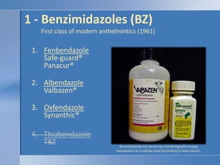 1 - Benzimidazoles (BZ)           First class of modern anthelmintics (1961)FenbendazoleSafe-guard®Panacur®AlbendazoleValbazen®OxfendazoleSynanthic®ThiabendazoleTBZBenzimidazoles kill worms by interfering with energy metabolism on a cellular level by binding to beta tubulin.