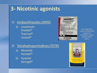 3- Nicotinic agonistsImidazothiazoles (IMID)LevamisoleProhibit®Tramisol®Levasol®Tetrahydropyrimidines (TETR)MorantelRumatel®PyrantelStrongid® Act as agonists at nicotinic acetylcholine receptors of nematodes, causing paralysis of the worms.