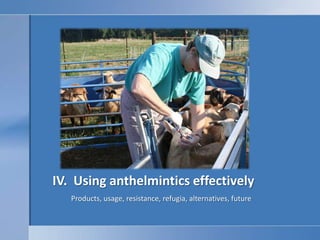 IV.  Using anthelmintics effectively<br />Products, usage, resistance, refugia, alternatives, future <br />
