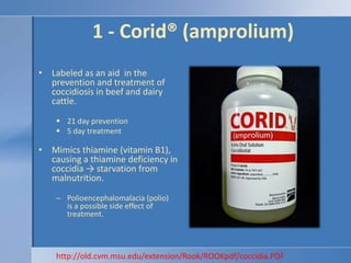 1 - Corid® (amprolium)<br />Labeled as an aid  in the prevention and treatment of coccidiosis in beef and dairy cattle.<br...