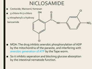 NICLOSAMIDE
■ Cestocide, Mansonil,Yomesan
■ 5-chloro-N-(2-chloro
-4 nitrophenyl)-2-hydroxy
benzamide
■ MOA:The drug inhibits anerobic phosphorylation ofADP
by the mitochondria of the parasite, and interfering with
anerobic generation of ATP by theTape worm.
■ So it inhibits seperation and blocking glucose absorption
by the intestinal nematode function.
OH
Cl
C
O
NH NO2
Cl
 