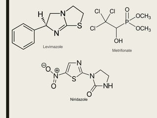Levimazole
Metrifonate
Niridazole
 