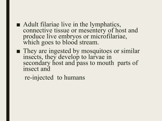 ■ Adult filariae live in the lymphatics,
connective tissue or mesentery of host and
produce live embryos or microfilariae,
which goes to blood stream.
■ They are ingested by mosquitoes or similar
insects, they develop to larvae in
secondary host and pass to mouth parts of
insect and
re-injected to humans
 