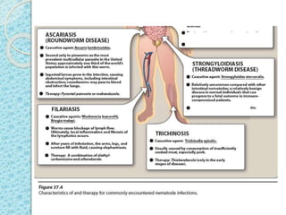 Anthelmintic Drugs | PPTX