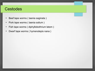 Cestodes
●
Beef tape worms ( taenia saginata )
●
Pork tape worms ( taenia solium )
●
Fish tape worms ( diphyllobothrium latom )
●
Dwarf tape worms ( hymenolepis nana )
 