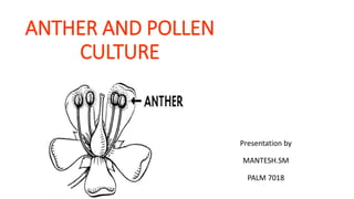 Anther and pollen culture