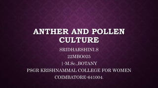ANTHER AND POLLEN
CULTURE
SRIDHARSHINI.S
22MBO025
|-M.Sc.,BOTANY
PSGR KRISHNAMMAL COLLEGE FOR WOMEN
COIMBATORE-641004.
 