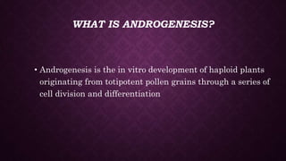 ANTHER AND POLLEN CULTURE.pptx