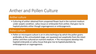 Anther and Pollen Culture
Anther culture
• Culturing of anther obtained from unopened flower bud in the nutrient medium
under aseptic condition. callus tissue or embryoids from anther, that give rise to
haploid plantlets either though organogenesis or embryogenesis.
Pollen culture
• Pollen or microspore culture is an in vitro technique by which the pollen grains
preferably at the uninucleated stage, are squeezed out aseptically from the intact
anther and then cultured on nutrient medium. • The microspores develop into
haploid embryoids or callus tissue that give rise to haploid plantlets by
embryogenesis or organogenesis.
 
