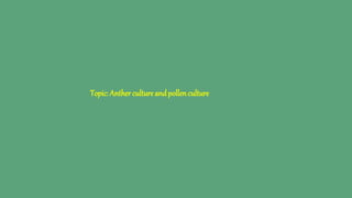Topic:Anthercultureandpollenculture
 