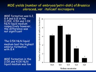 MDE yields (number of embryos/petri-dish( ofBrassica
           oleraceaL.var italicaof microspore

MDE formation was 6.2,
8.4 and 6.8 in the
0.25X, 0.5X and 1.0X
NLN liquid medium
respectively however,
the difference was
not significant


The 0.5X NLN liquid
medium had the highest
embryo formation,
with 8.4


MDE formation in the
2.0X and 4.0X NLN
liquid medium was low
 