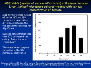 MDE yields (number of embryos/Petri-dish( ofBrassica oleracea
      L.var italicaof microspore cultures treated with various
                      concentration of sucrose
 MDE formation was 72 and
 69 in the 13% and 15%
  ,sucrose concentrations
 difference between the
 two concentrations was not
 Significant

 Sucrose concentration less
 than 10% decreased the
 embryo formation rate
  ,remarkably

 There was no microspore
 formation in the 5%
 sucrose concentration



Data was collected 30 days after culture. Each value is the average obtained from ten replications. Columns
   with the same letter are not significantly different by Duncan‘s multiple range tests at P > 0.05
 