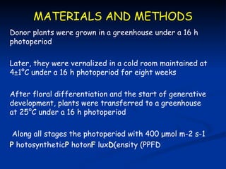 MATERIALS AND METHODS
Donor plants were grown in a greenhouse under a 16 h
photoperiod

Later, they were vernalized in a cold room maintained at
4±1°C under a 16 h photoperiod for eight weeks

After floral differentiation and the start of generative
development, plants were transferred to a greenhouse
at 25°C under a 16 h photoperiod

 Along all stages the photoperiod with 400 μmol m-2 s-1
P hotosyntheticP hotonF luxD(ensity (PPFD
 